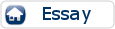 Reflective Essay